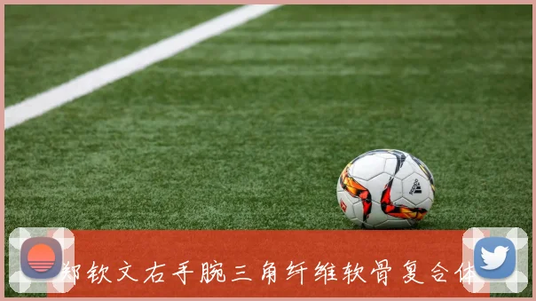 郑钦文右手腕三角纤维软骨复合体损伤,宣布退出2026年美网系列赛