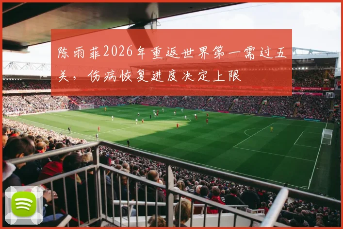 陈雨菲2026年重返世界第一需过五关,伤病恢复进度决定上限
